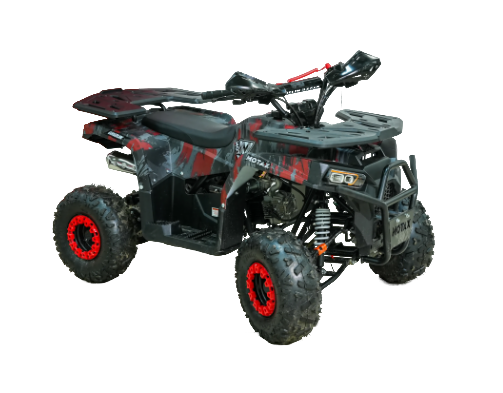 Бензиновый квадроцикл MOTAX GRIZLIK BASIC 125