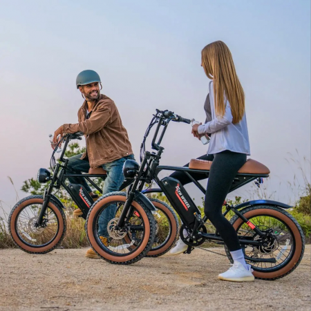 Электровелосипед WENBOX FATBIKE F15