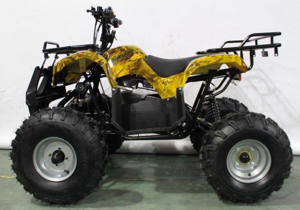 Квадроцикл GreenCamel Atakama T240 (48V 1000W R8 Дифференциал) пониженная Золотая осень