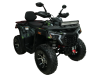 Бензиновый квадроцикл MOTAX GRIZLIK T250 PRO зеленый