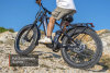 Электровелосипед MOKWHEEL ONYX синий