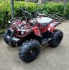 Квадроцикл GreenCamel Атакама T120 (48V 800W R8 Цепной привод) Армейский-красный