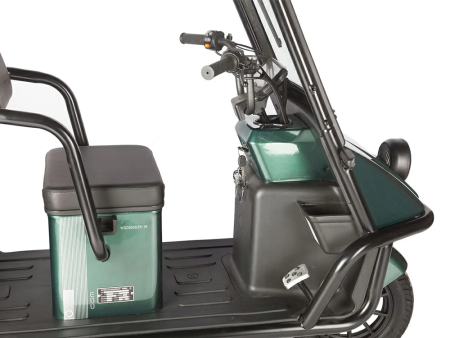 Электротрицикл Wanshida NIPLA 500 60V 1000Вт зеленый