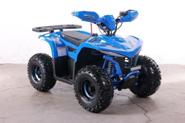 Квадроцикл GreenCamel Gobi K90 (42Ah 36V 750W R7 Дифф) LUX Bluetooth Синий