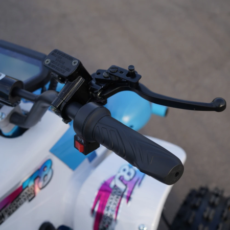 Электроквадроцикл ECO Monster TRUCK 60V50AH