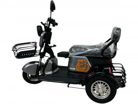 Трехколесный пассажирский Электроскутер LS-CO A1