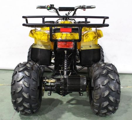 Квадроцикл GreenCamel Atakama T240 (48V 1000W R8 Дифференциал) пониженная Золотая осень