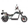 Электроскутер CityCoCo SkyBoard Chopper 3000 PRO зеленый