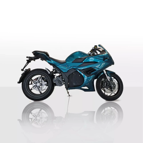 Электромотоцикл ECO BMW RR PRO Blue 72V80AH