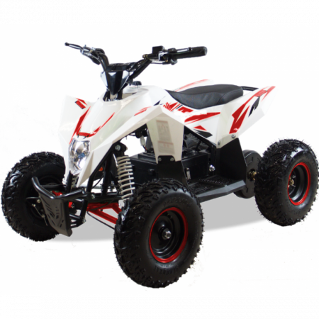 Квадроцикл - снегоцикл  2в1  GEKKON 90cc SNOW MAX Бензиновый