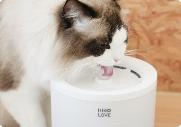 Фонтан-поилка для домашних животных, HHOLOVE