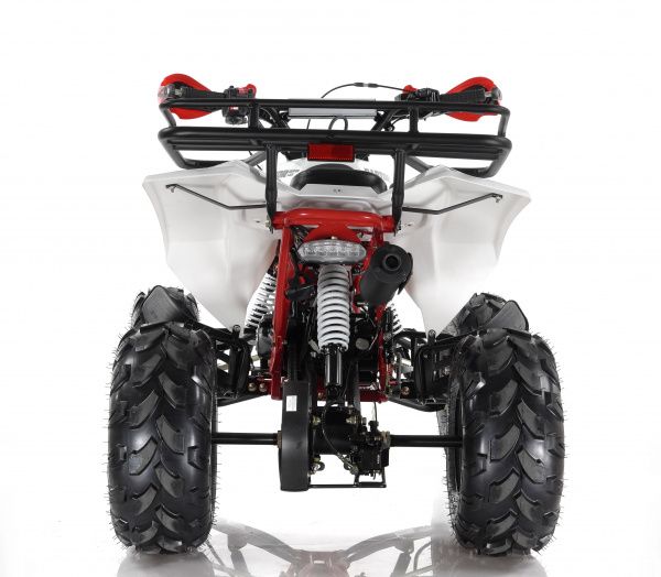 MOTAX ATV Raptor Super LUX 125 Бензиновый Красный 